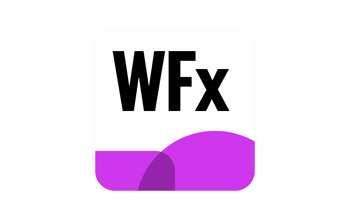 Logo Winner Flex